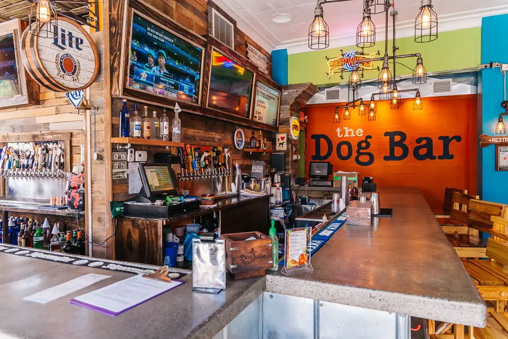 The Dog Bar St. Pete