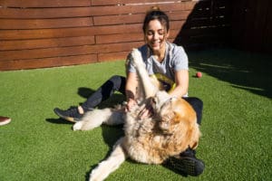 woman playing with dog