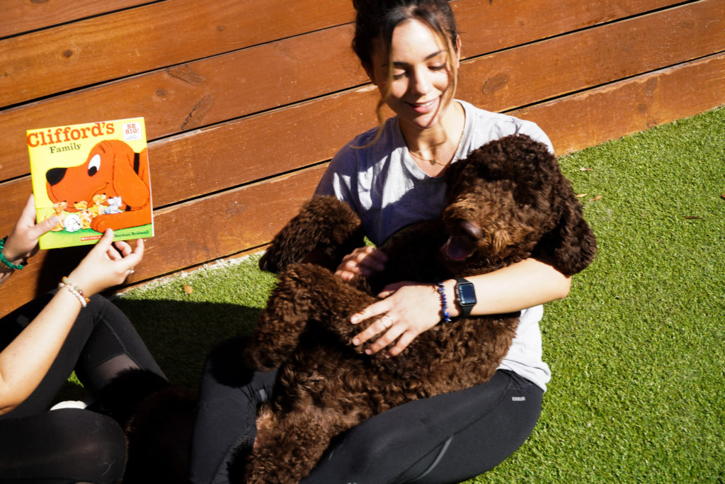 woman holding a brown haired dog