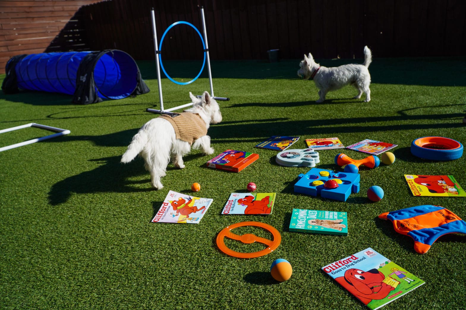 Dog Grooming & Spa Tampa, FL Paws 'n' Rec