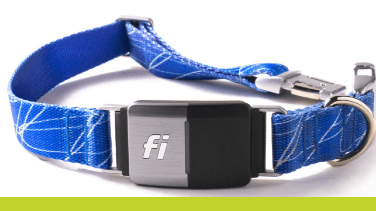 The Problem with Fi Collars Paws 'n' Rec