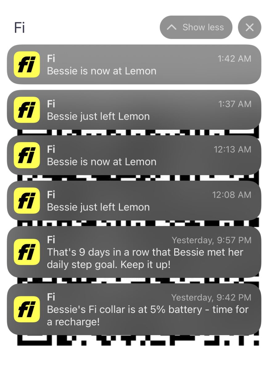 The Problem with Fi Collars Paws 'n' Rec