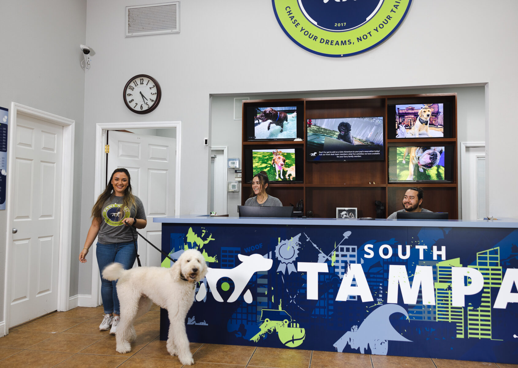 How to Choose the Perfect Daycare for Your Dog Paws 'n' Rec