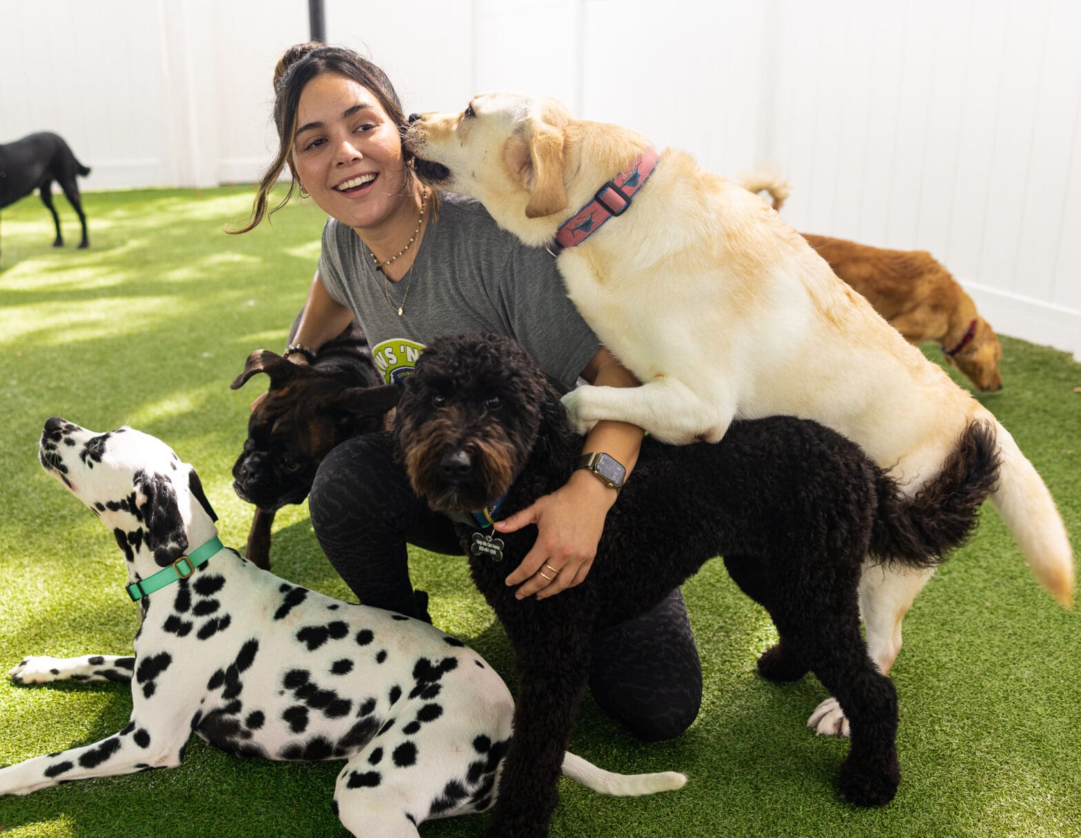 Managing Separation Anxiety When Leaving Your Dog at Daycare Paws 'n' Rec