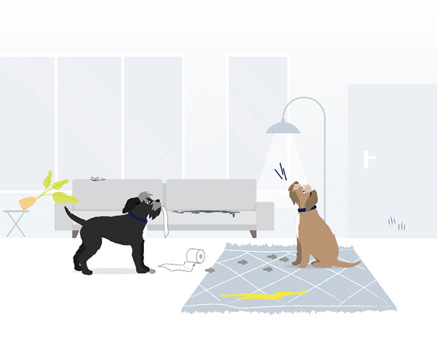 Graphic of dogs in a house making a mess