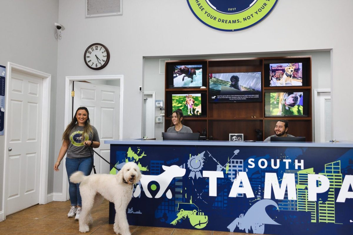 Paws n Rec Dog Daycare